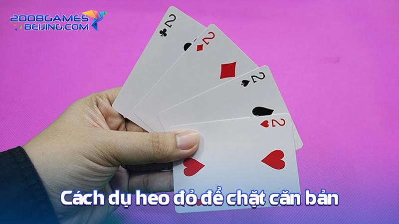 cach du heo do de chat can ban